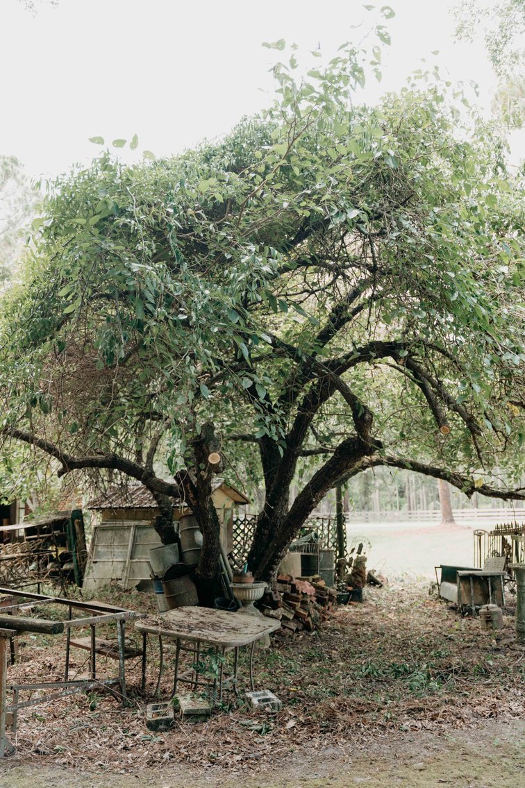 Image for 2,472 +/- Sq Ft Brick Home on 5 Acres in Thomas County, Georgia