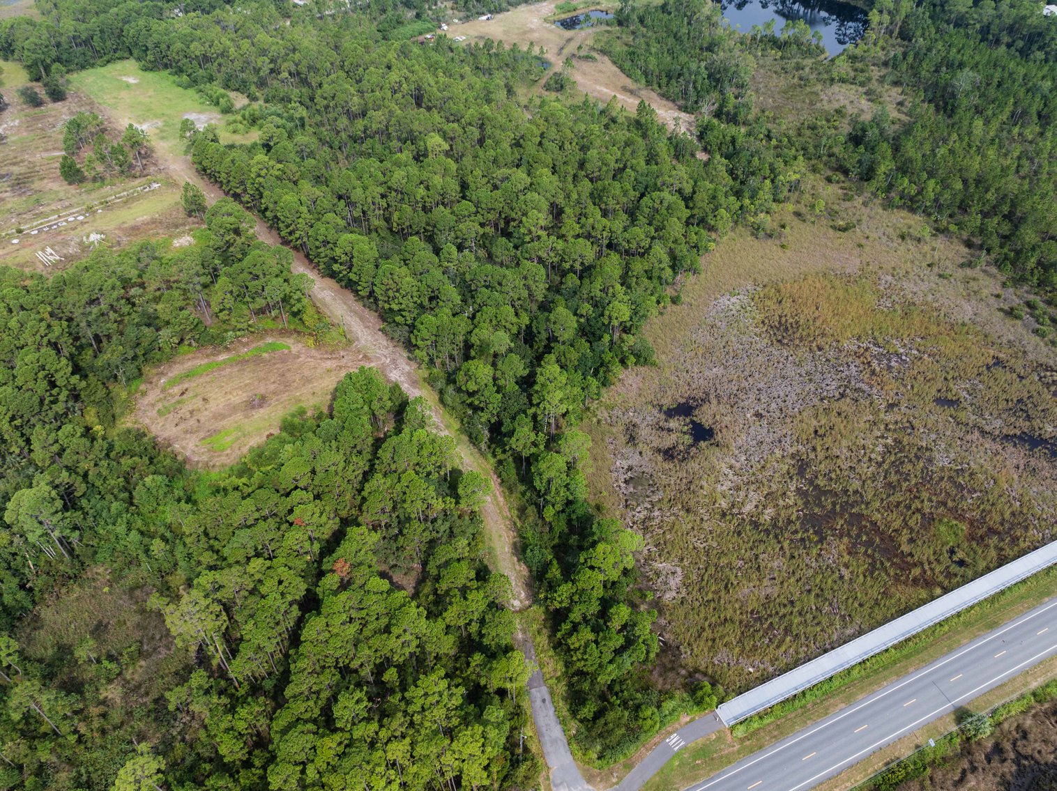 Image for 61± Acres on Coastal Hwy – Panacea, FL – Gateway to the Gulf Coast