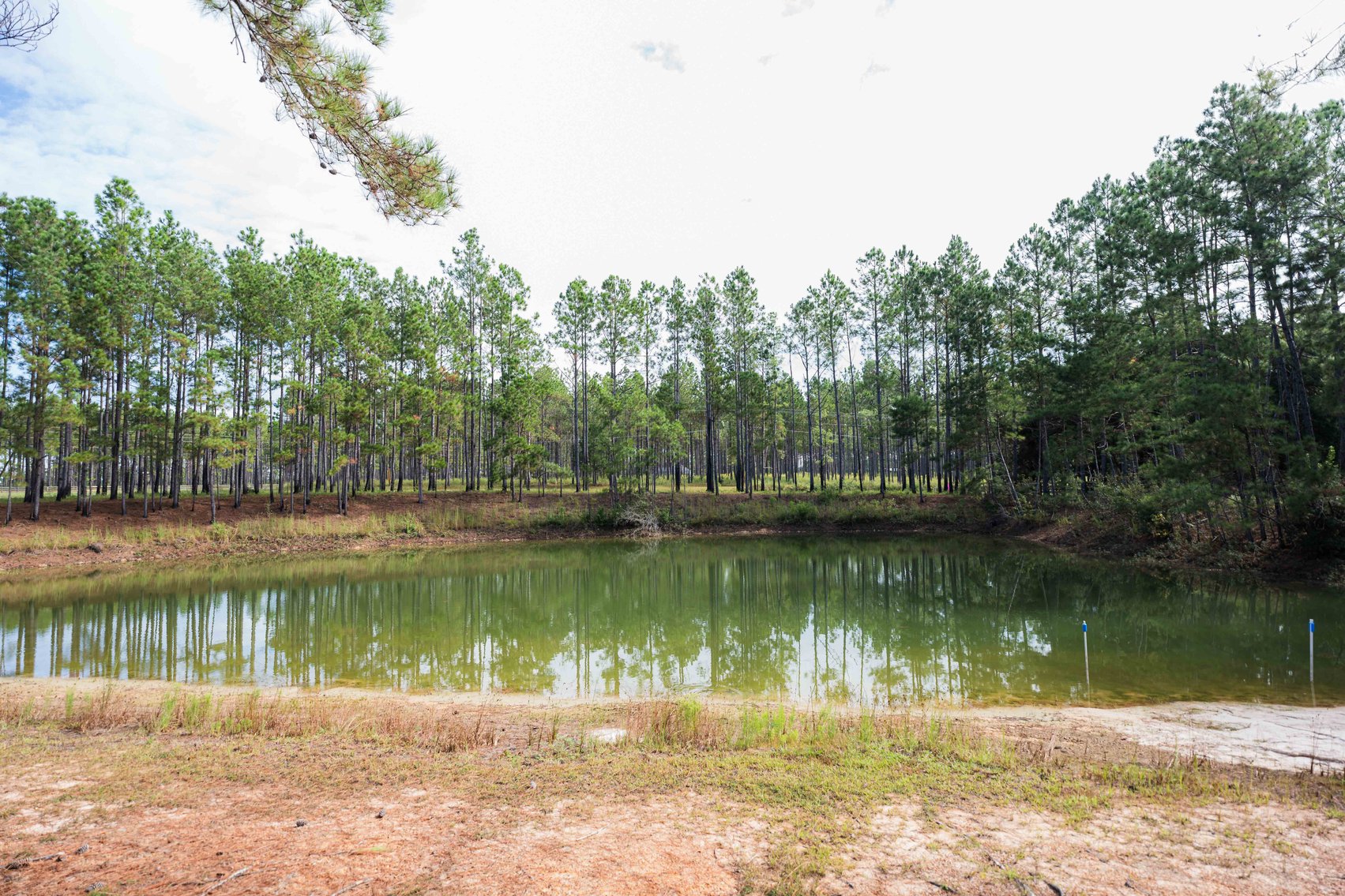 Image for 6.74+/- Acres and Home on Miller Bridge Road, Northern Lowndes County