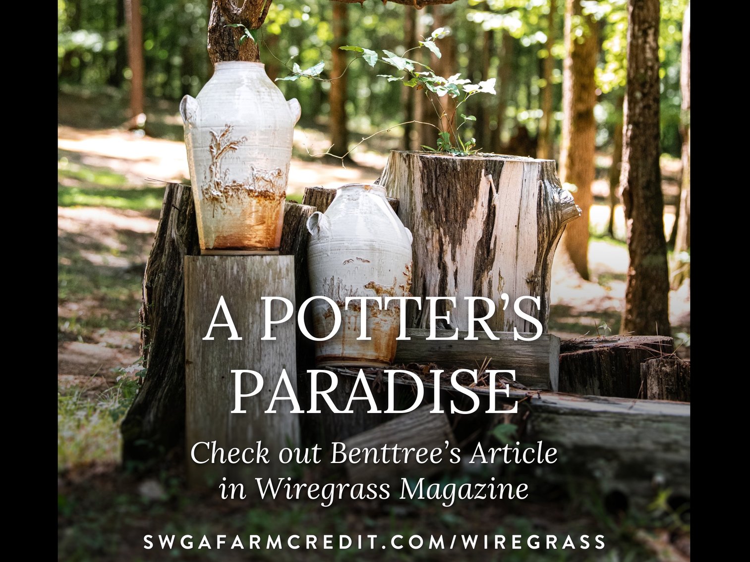 Image for Cancer Ties 2025 Fall Fundraiser