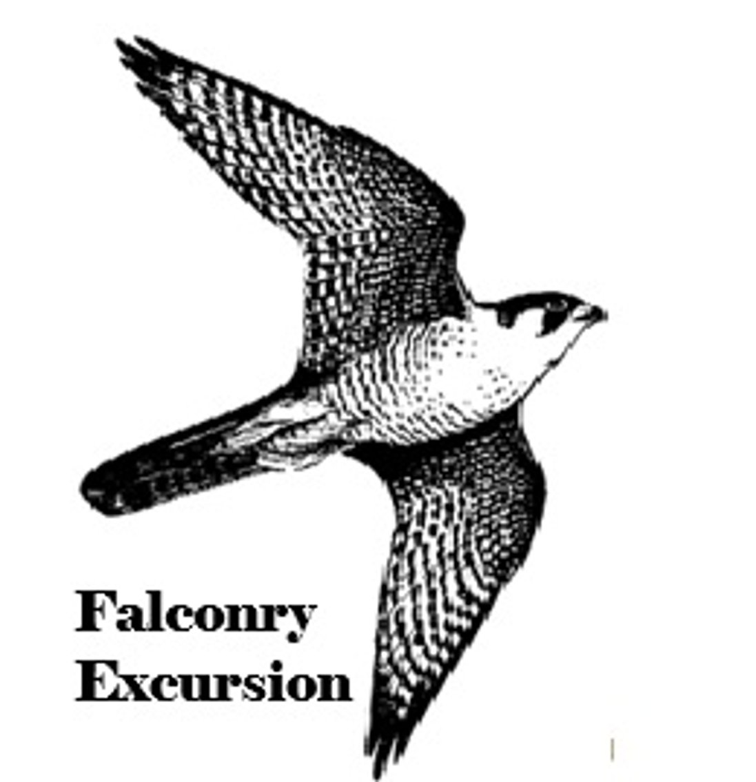 Image for Cancer Ties 2025 Fall Fundraiser