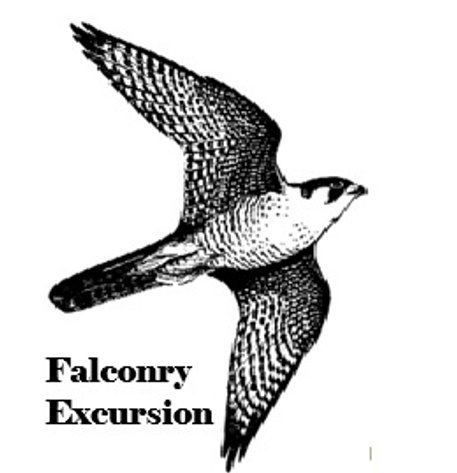 Image for Cancer Ties 2025 Fall Fundraiser