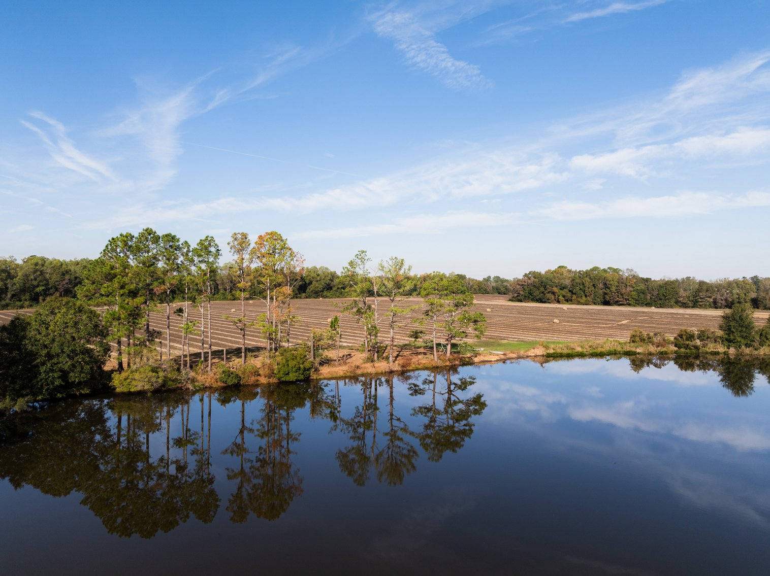 Image for The Redfearn Estate - Sealed Bid Auction