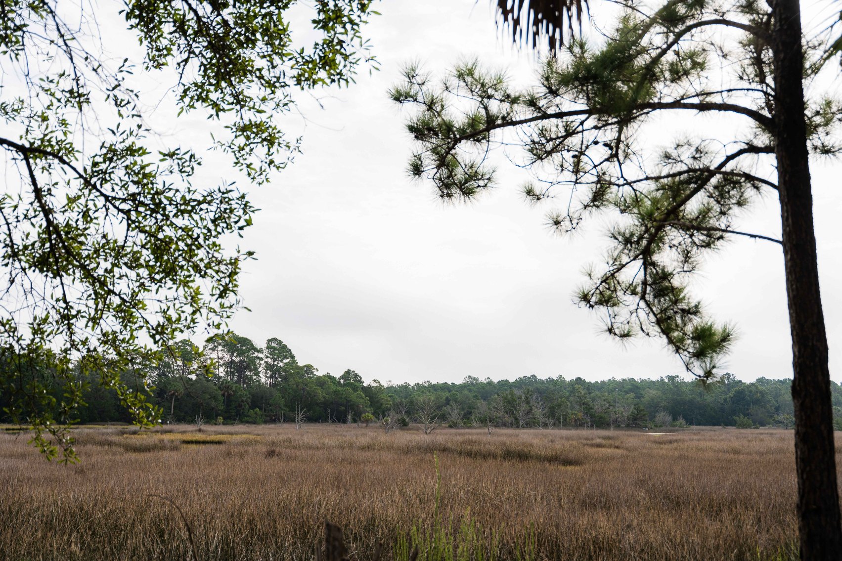 Image for Shell Point Development Tract – 12.76± Acres with Gulf Access