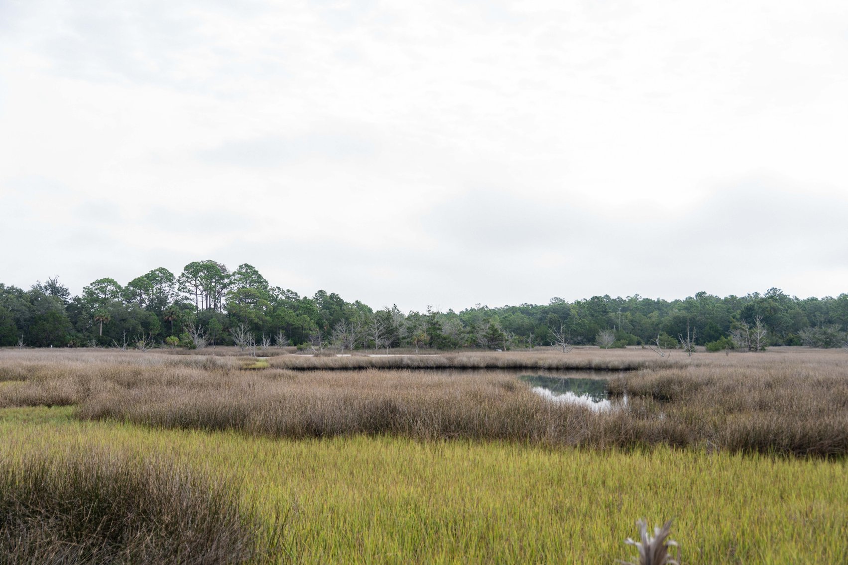 Image for Shell Point Development Tract – 12.76± Acres with Gulf Access