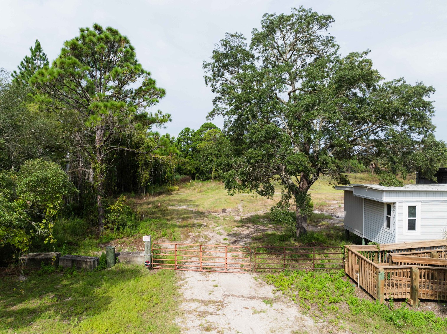 Image for 61± Acres on Coastal Hwy – Panacea, FL – Gateway to the Gulf Coast