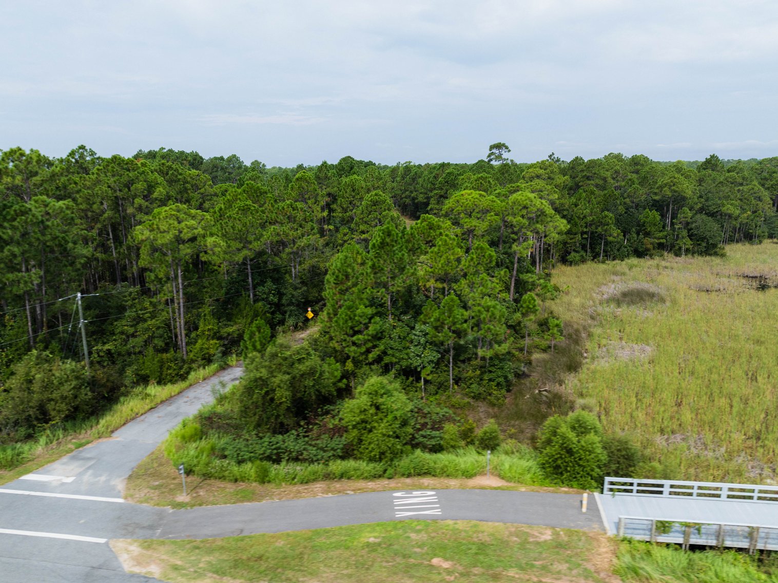 Image for 61± Acres on Coastal Hwy – Panacea, FL – Gateway to the Gulf Coast