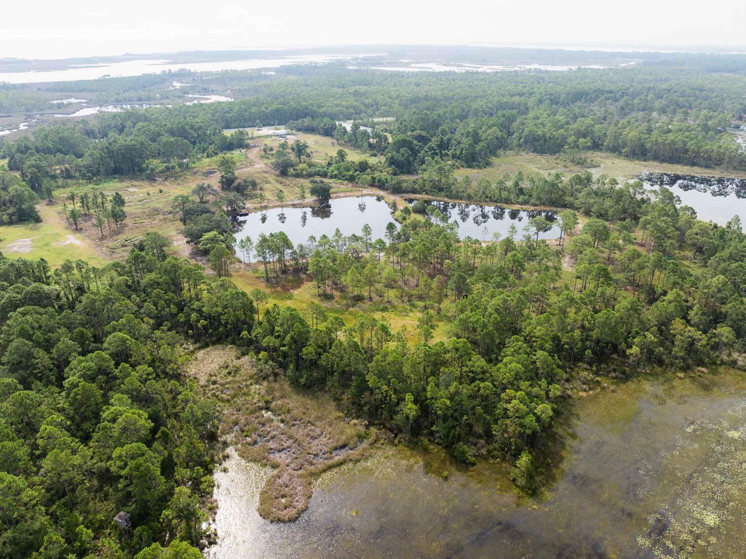 Image for 61± Acres on Coastal Hwy – Panacea, FL – Gateway to the Gulf Coast