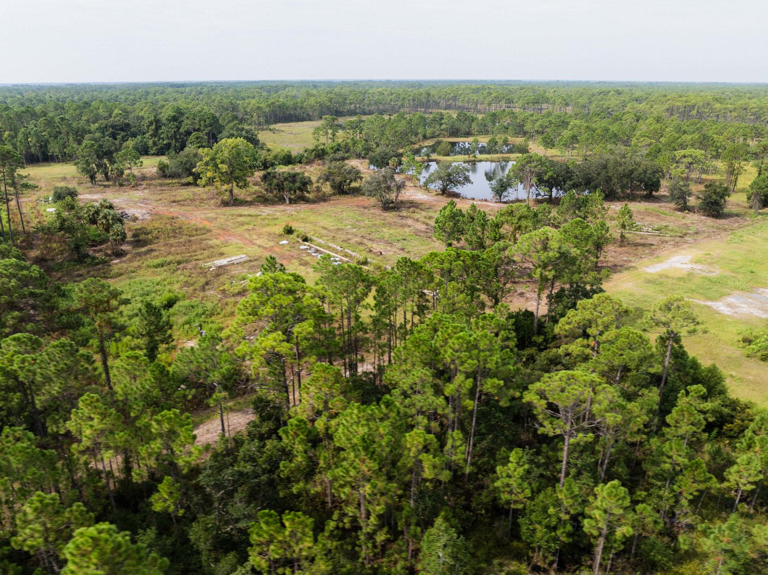 Image for 61± Acres on Coastal Hwy – Panacea, FL – Gateway to the Gulf Coast