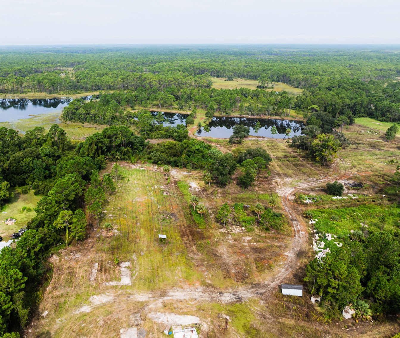 Image for 61± Acres on Coastal Hwy – Panacea, FL – Gateway to the Gulf Coast