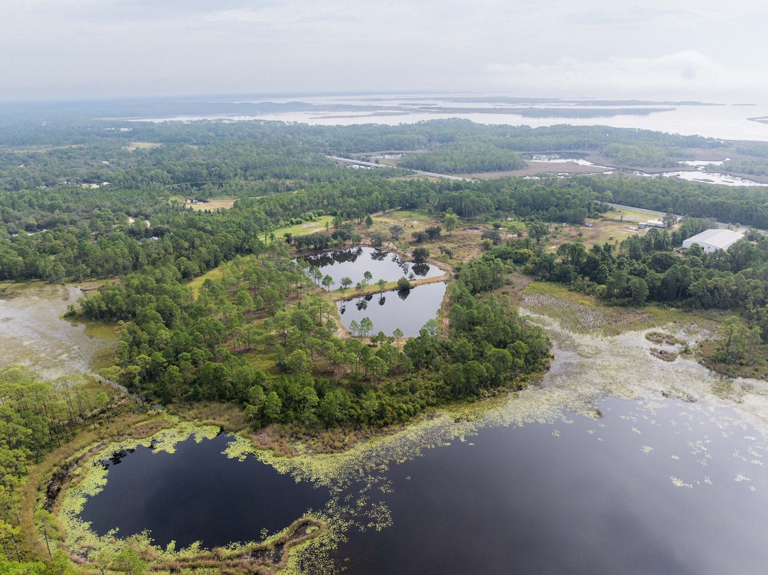 Image for 61± Acres on Coastal Hwy – Panacea, FL – Gateway to the Gulf Coast