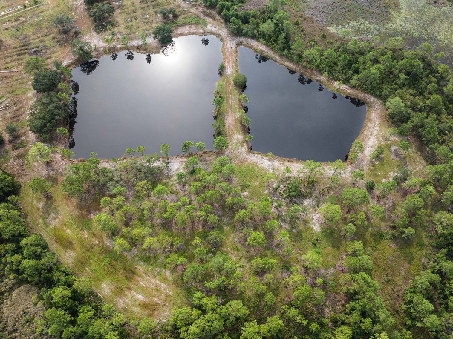 Image for 61± Acres on Coastal Hwy – Panacea, FL – Gateway to the Gulf Coast