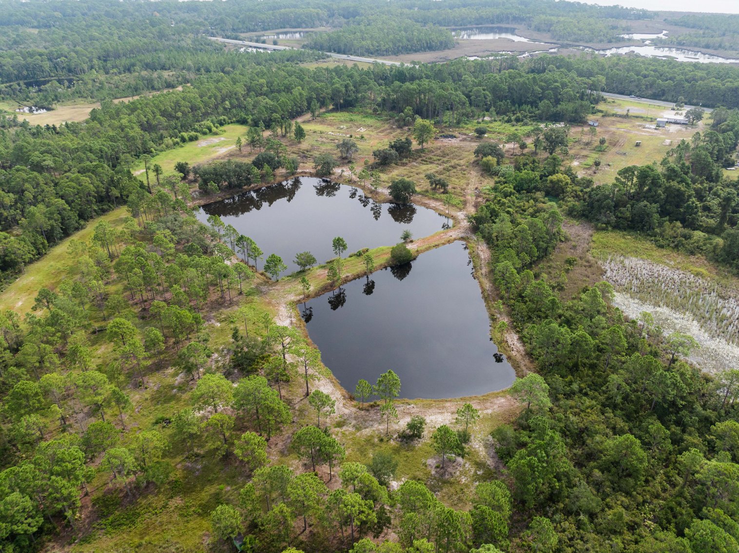 Image for 61± Acres on Coastal Hwy – Panacea, FL – Gateway to the Gulf Coast