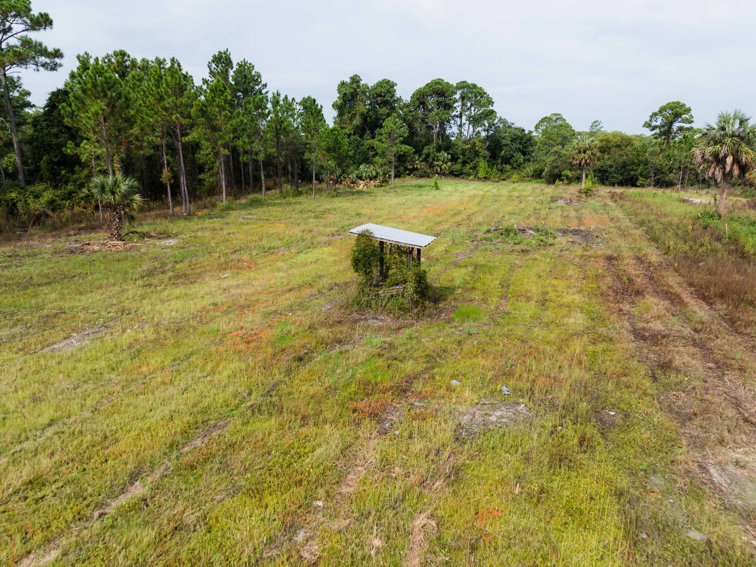 Image for 61± Acres on Coastal Hwy – Panacea, FL – Gateway to the Gulf Coast