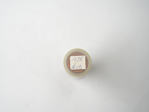 Image for (50) Uncirculated 1975 Lincoln Head Memorial Cents