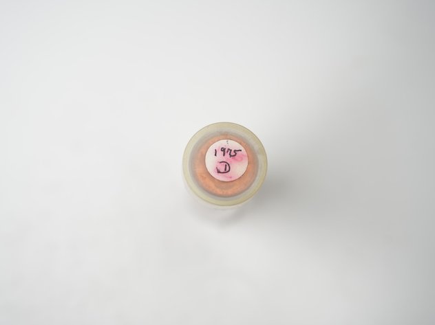 Image for (50) Uncirculated 1975 D Lincoln Head Memorial Cents