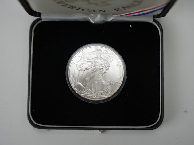 Image for 2004 American Silver Eagle in Case