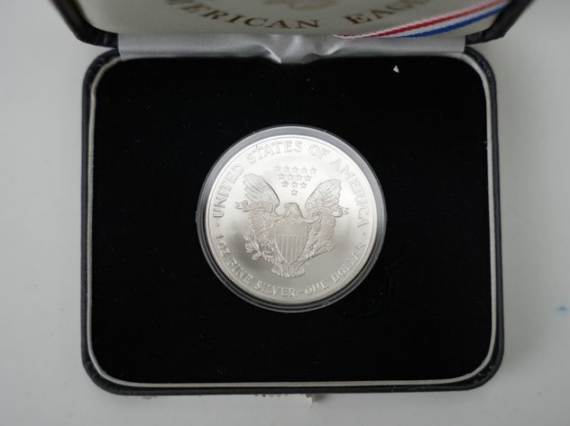 Image for 2004 American Silver Eagle in Case
