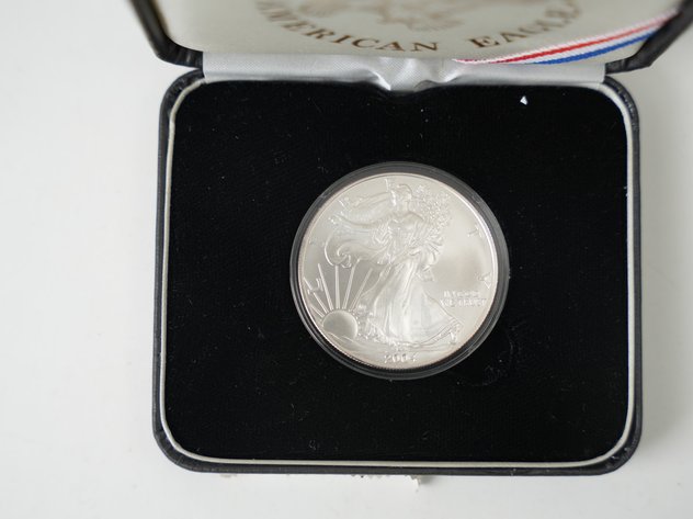 Image for 2004 American Silver Eagle in Case