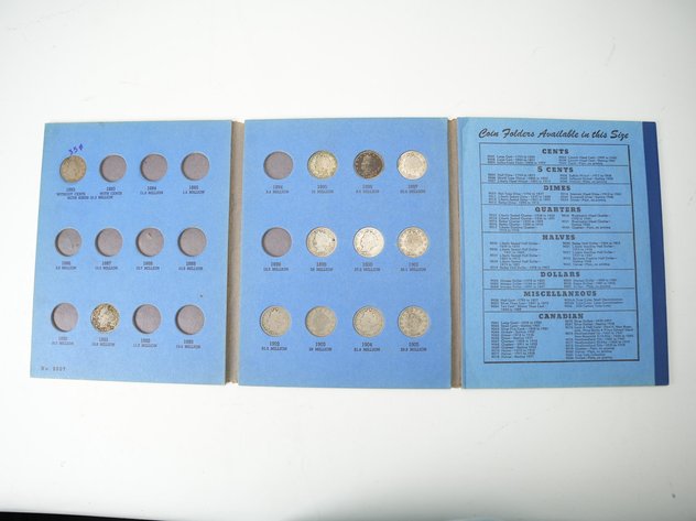Image for (22) Liberty Head Nickels in Collector's Books