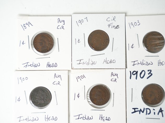 Image for (16) Indian Head Cents 1899-1907
