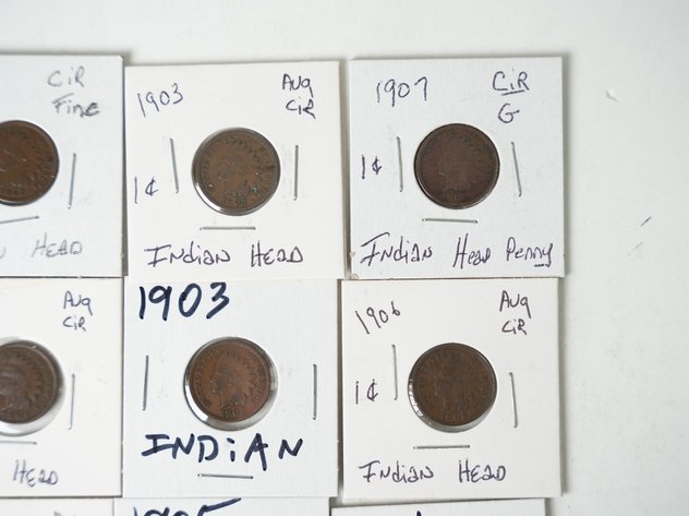 Image for (16) Indian Head Cents 1899-1907