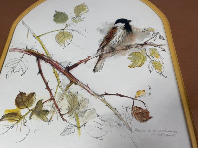 Image for (2) Bird Prints, 1975 Signed by Author