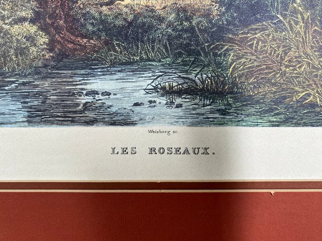 Image for Framed Print 