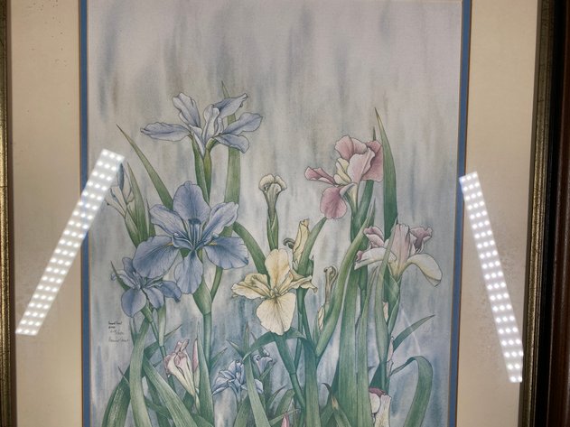 Image for (2) Framed and Signed Floral Prints