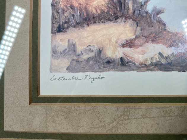 Image for Framed and Matted Print 