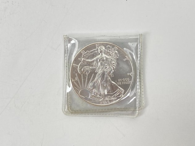 Image for 2020 American Silver Eagle
