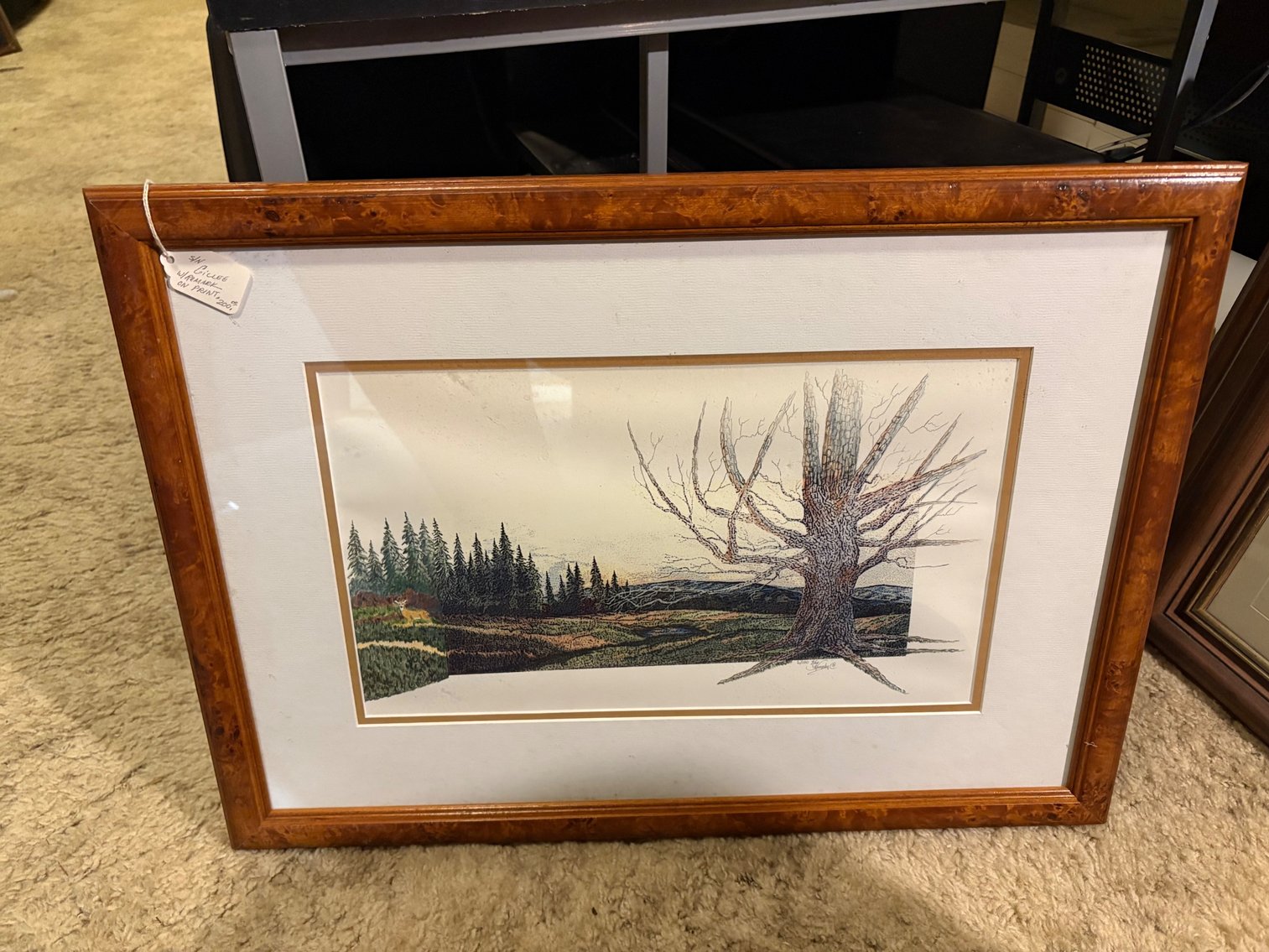 Image for Short Notice Murphy-Wallace Estate