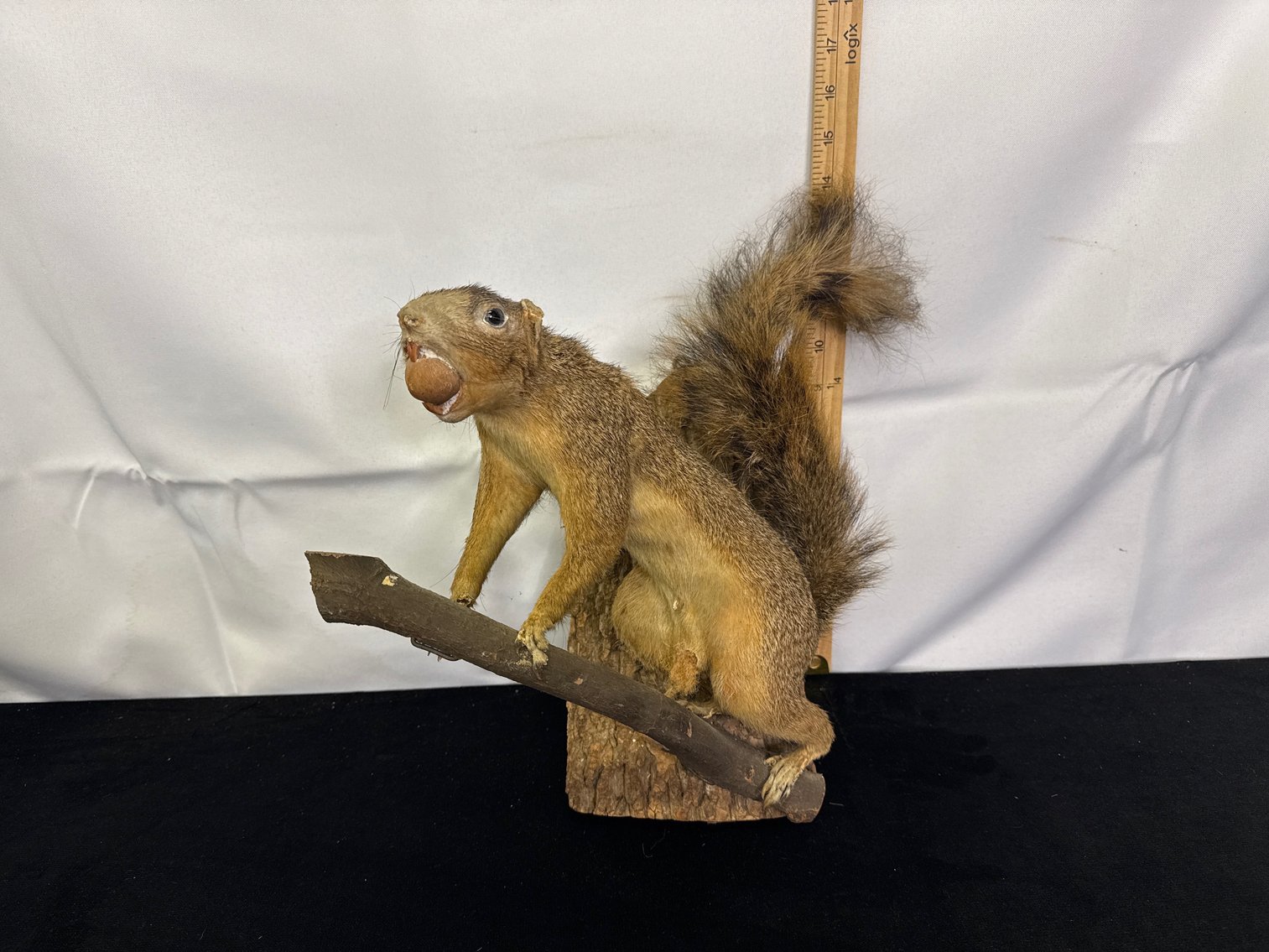 Image for Online Only Auction