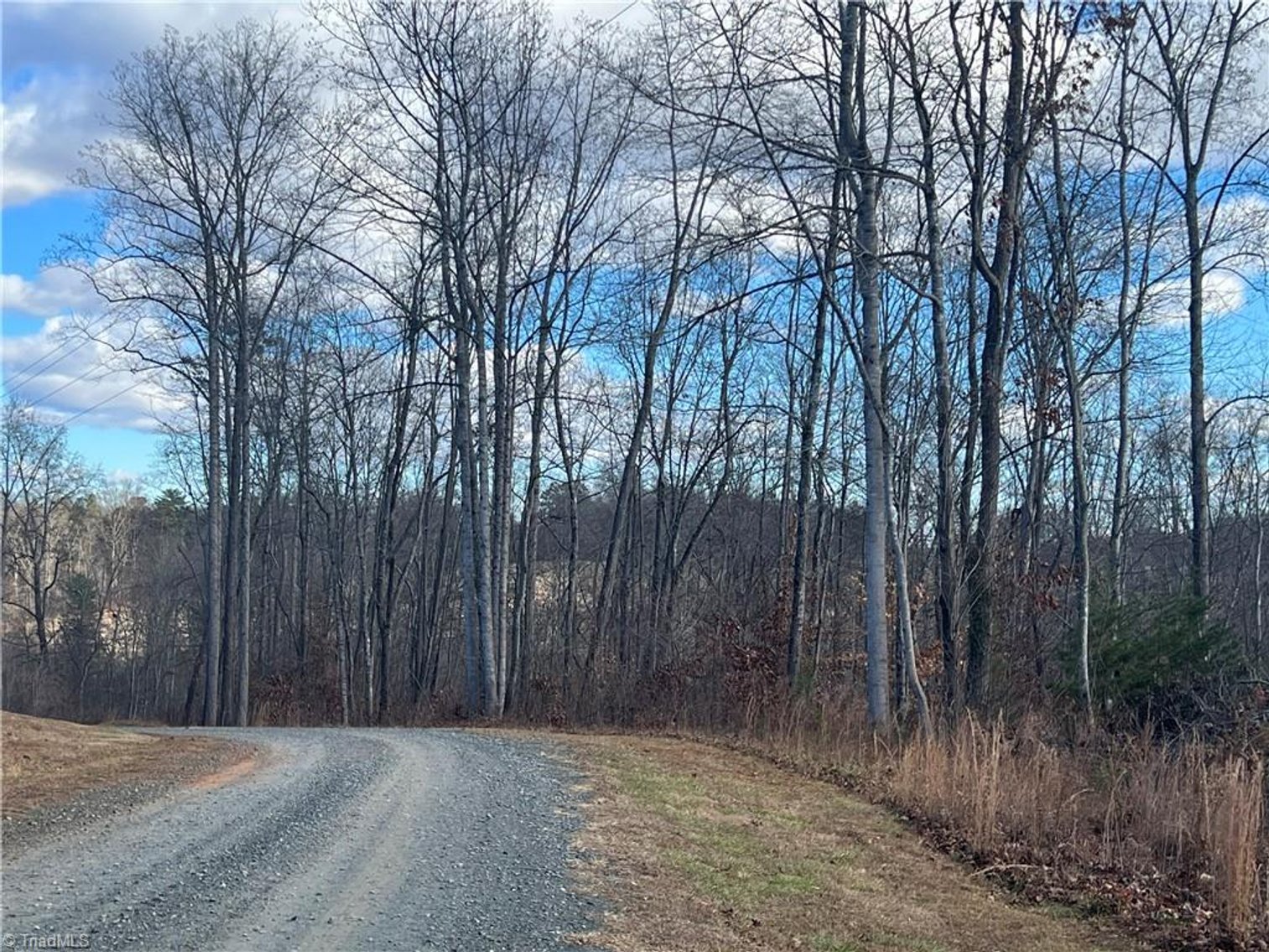 Image for Land For Sale in Dobson - 0 Main Street