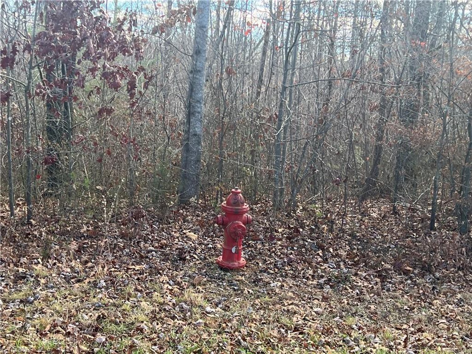 Image for Land For Sale in Dobson - 0 Main Street