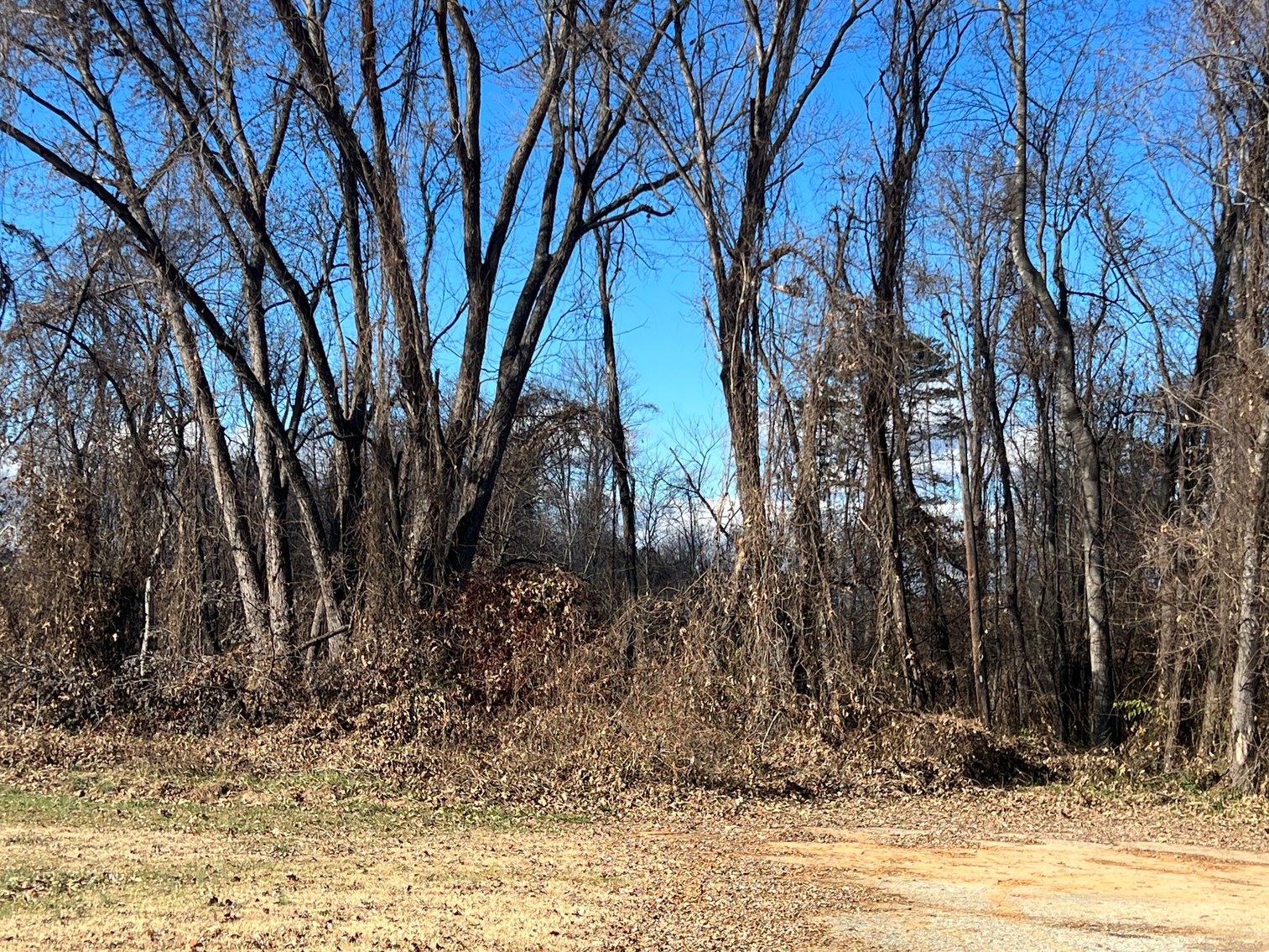 Image for Land For Sale in Dobson - 0 Main Street