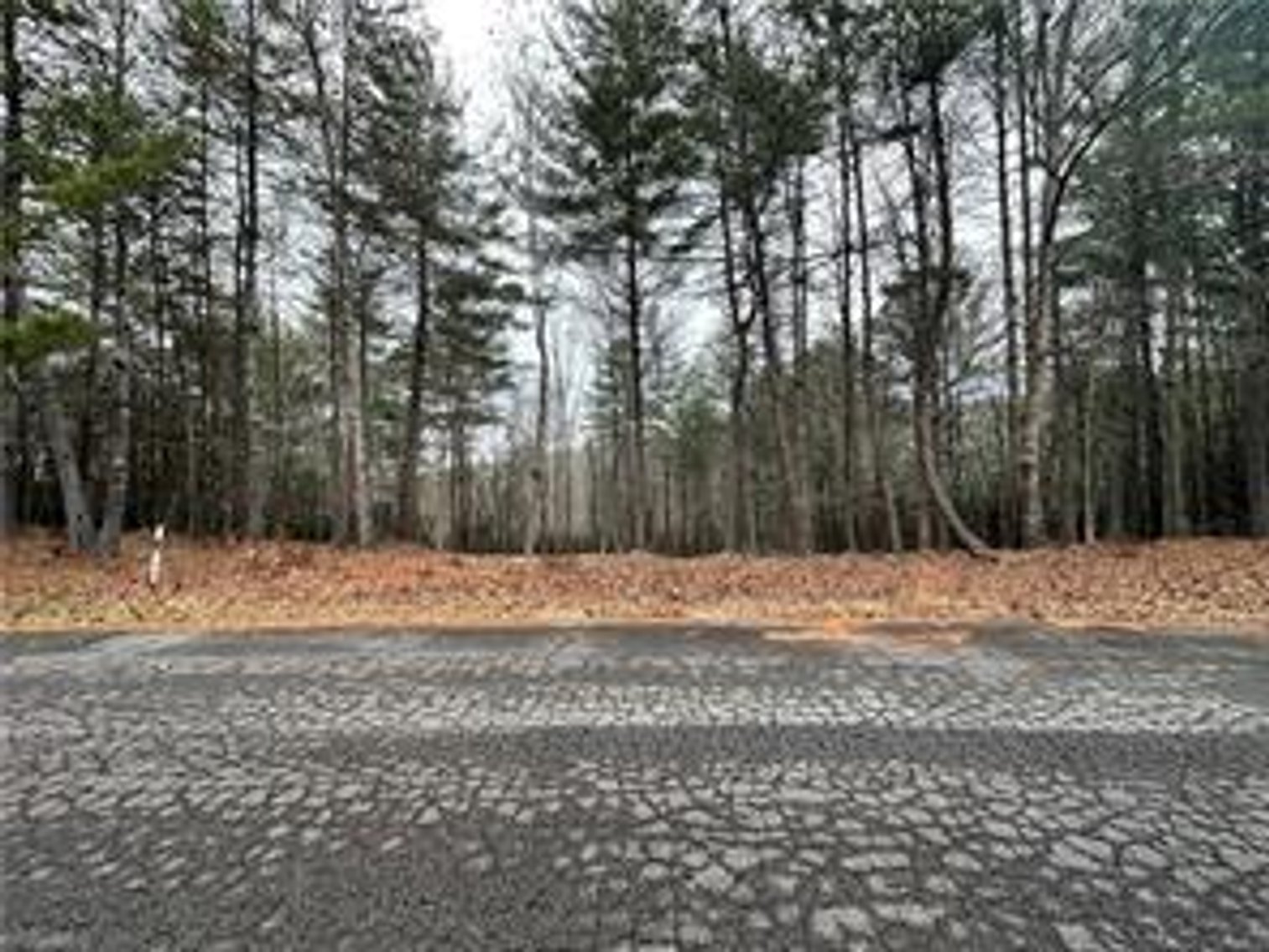 Image for 162 Carrington Drive - Land For Sale in Mount Airy