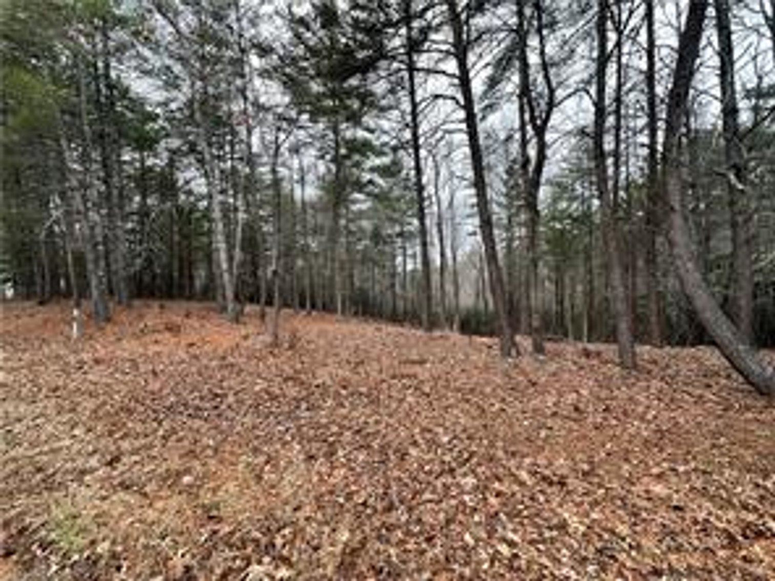 Image for 162 Carrington Drive - Land For Sale in Mount Airy