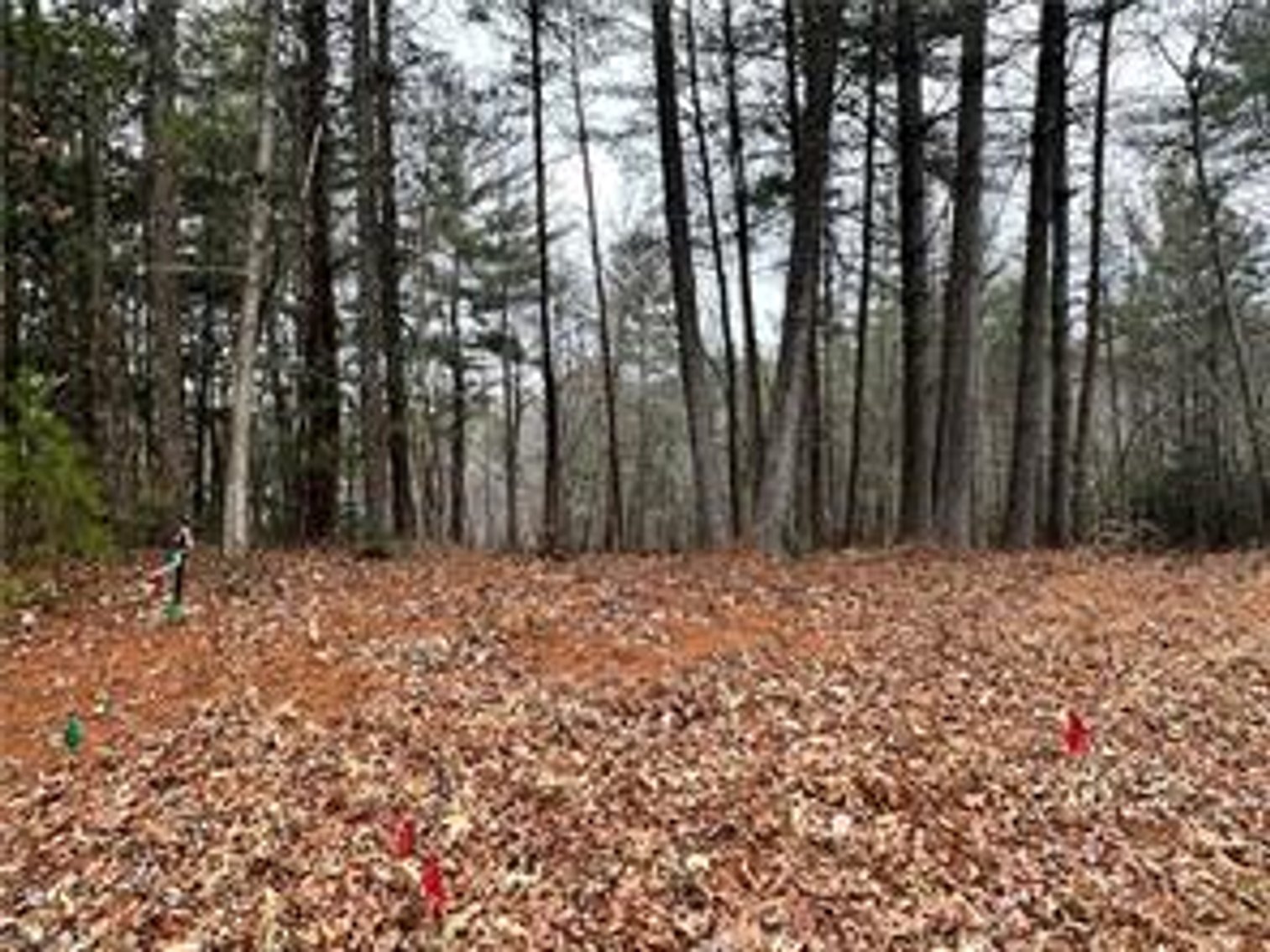 Image for 162 Carrington Drive - Land For Sale in Mount Airy