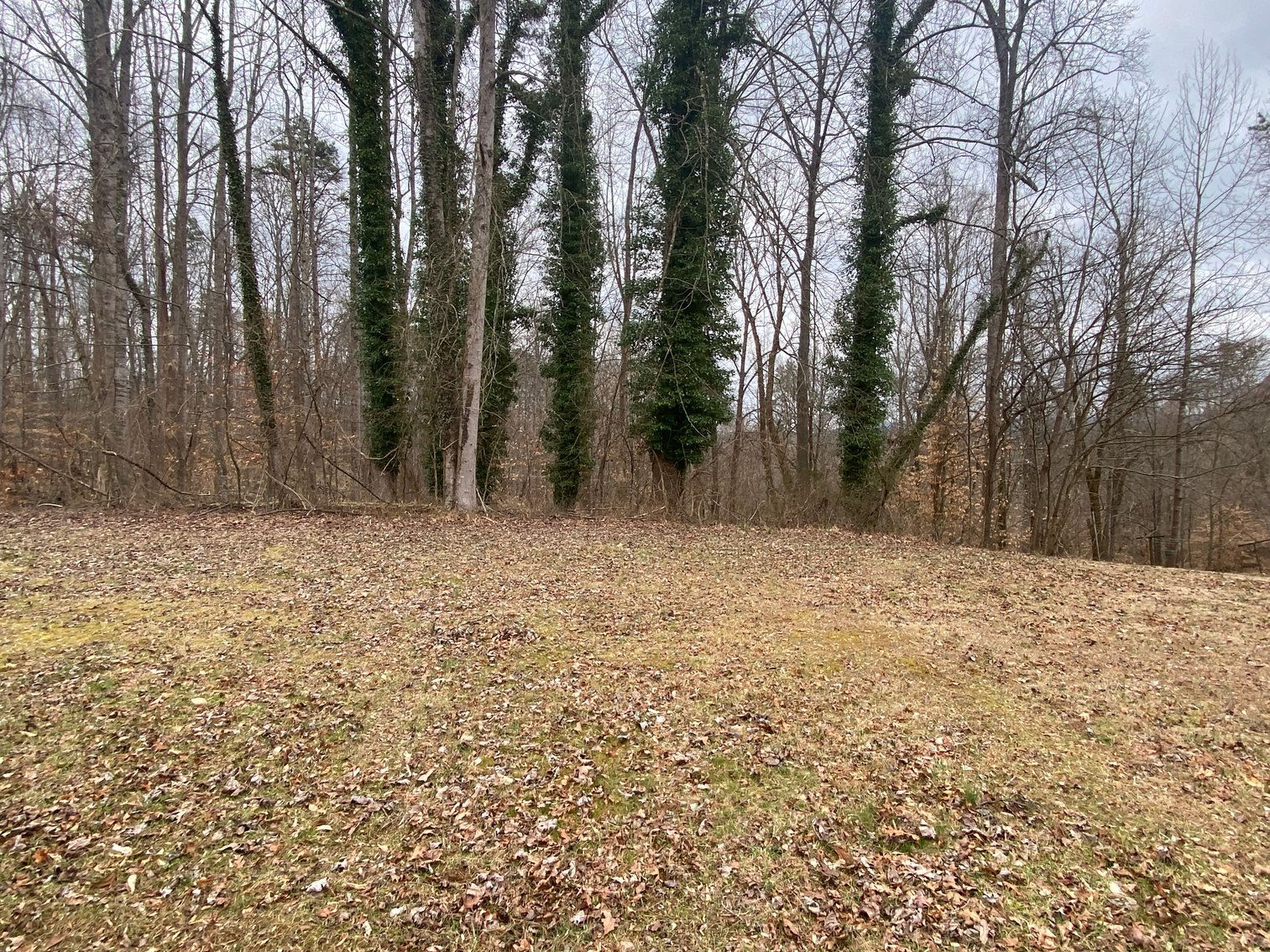 Image for Gordon Hall Estate - 3 Bedroom Home with Bonus Lot in Elkin, NC