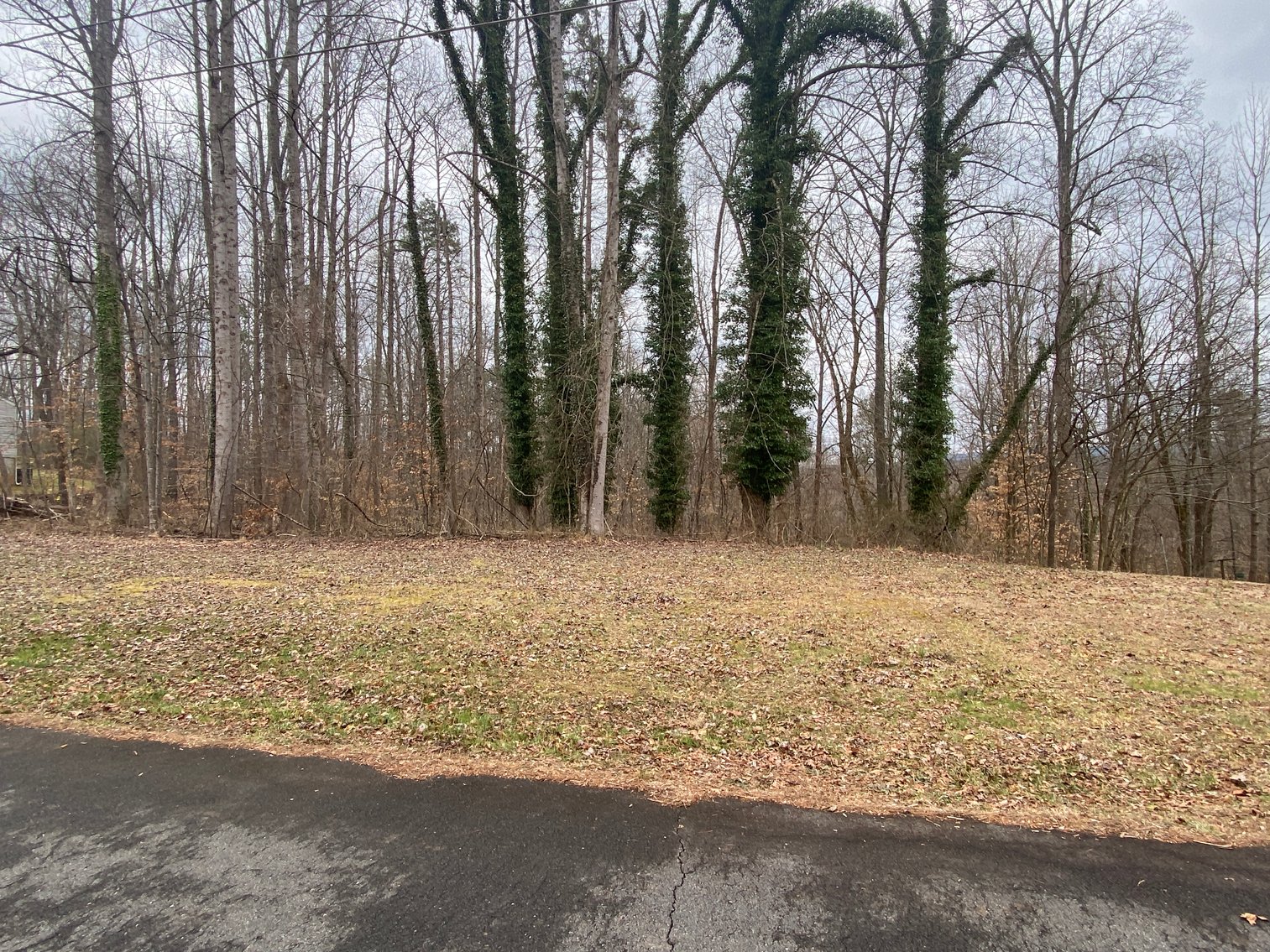 Image for Gordon Hall Estate - 3 Bedroom Home with Bonus Lot in Elkin, NC