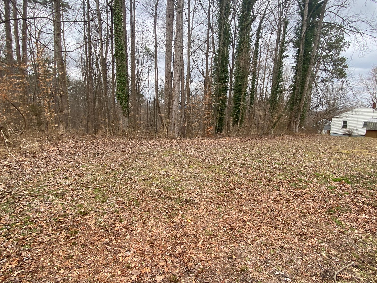 Image for Gordon Hall Estate - 3 Bedroom Home with Bonus Lot in Elkin, NC