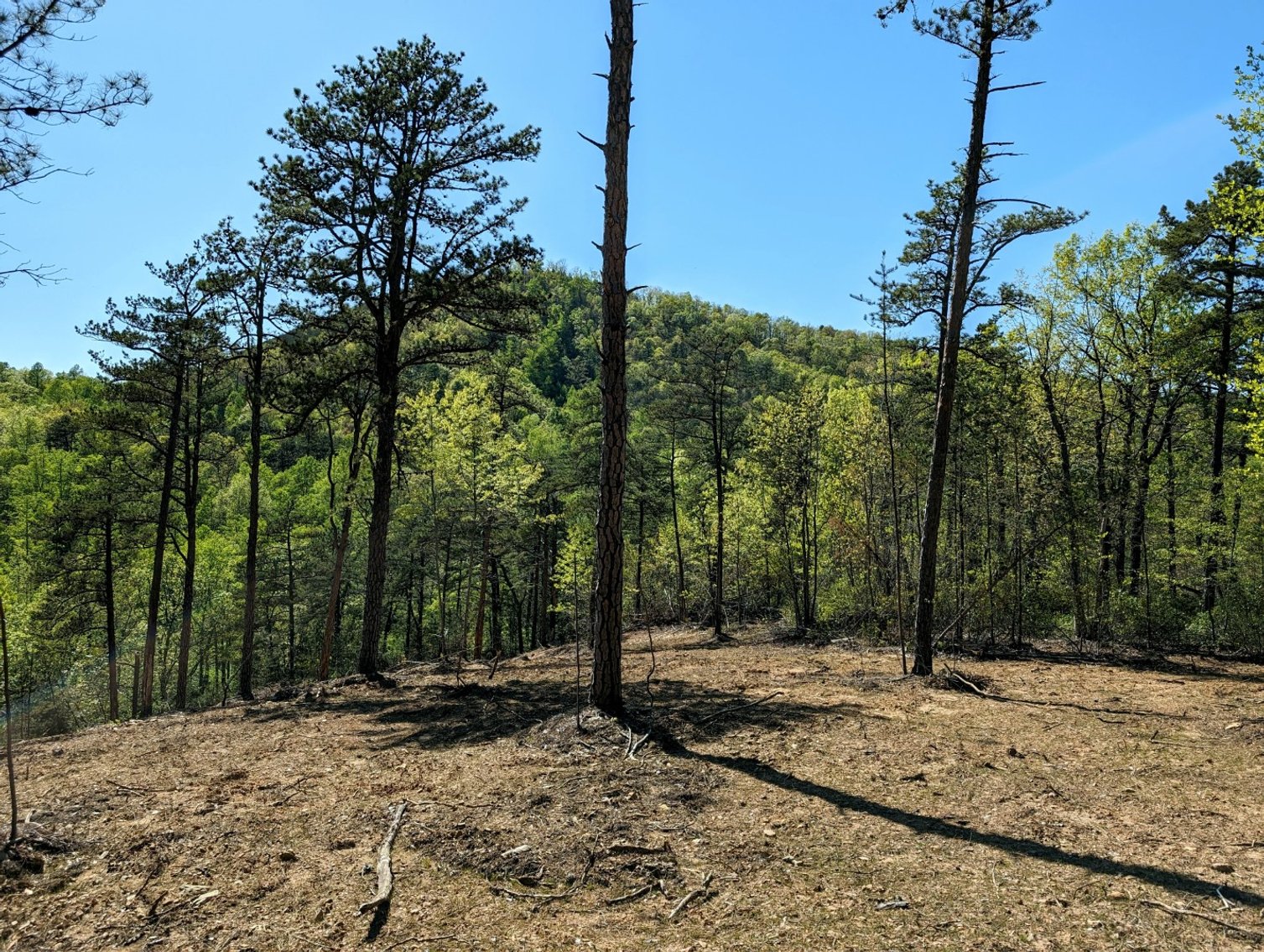 Image for Six Tracts Of Mountain Land - Patrick County VA
