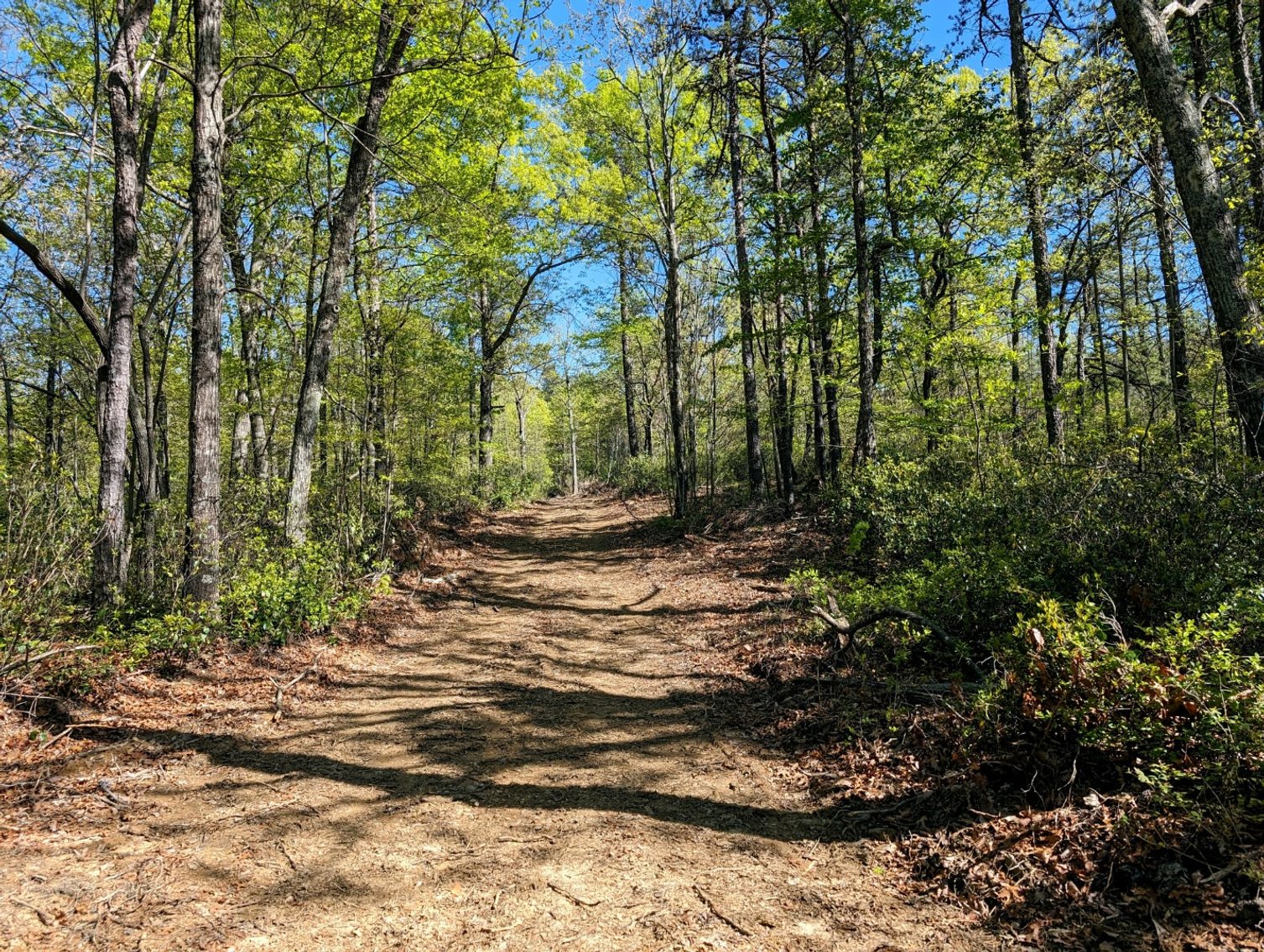 Image for Six Tracts Of Mountain Land - Patrick County VA