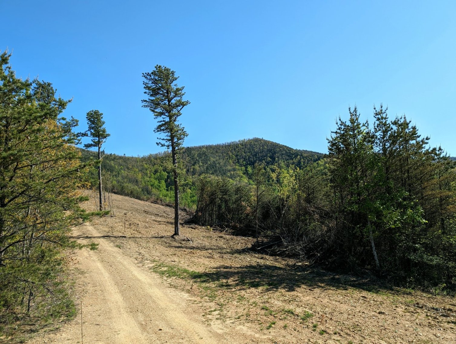 Image for Six Tracts Of Mountain Land - Patrick County VA
