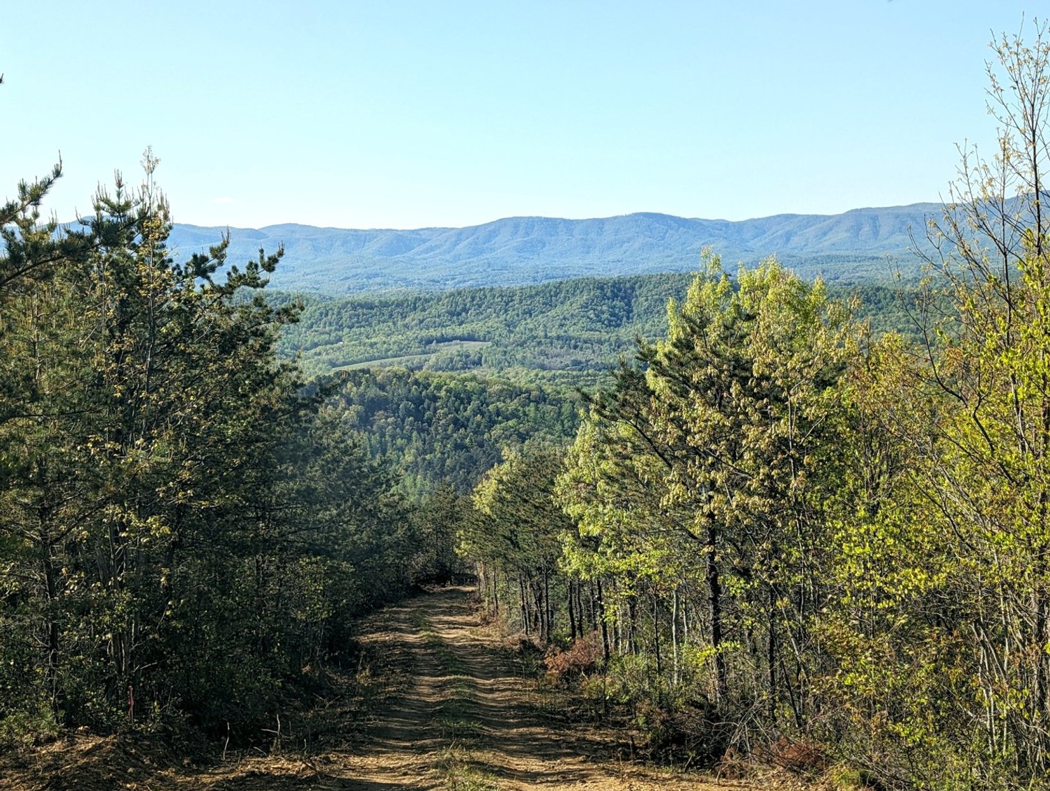 Image for Six Tracts Of Mountain Land - Patrick County VA
