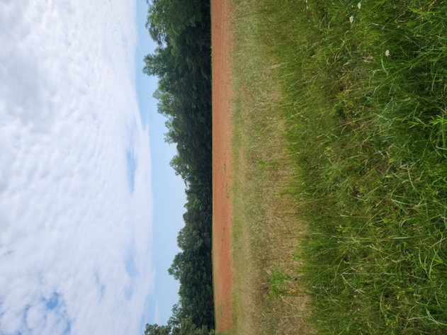 Real Estate Auction - 17.914 Acres in Patrick County, VA