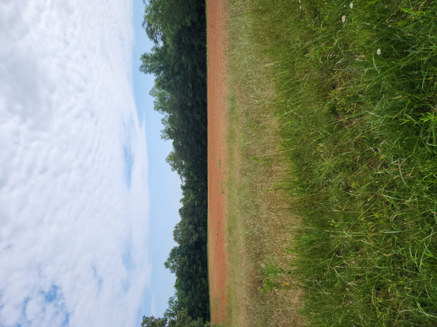 Image for Real Estate Auction - 17.914 Acres in Patrick County, VA