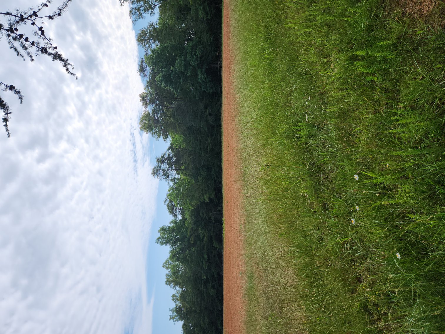 Image for Real Estate Auction - 17.914 Acres in Patrick County, VA