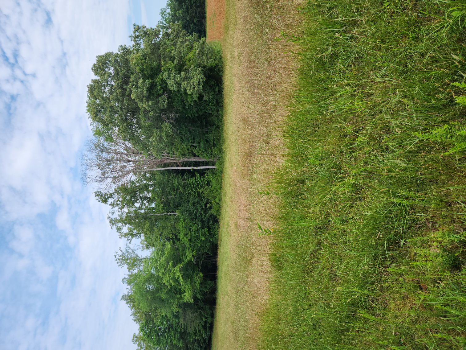 Image for Real Estate Auction - 17.914 Acres in Patrick County, VA